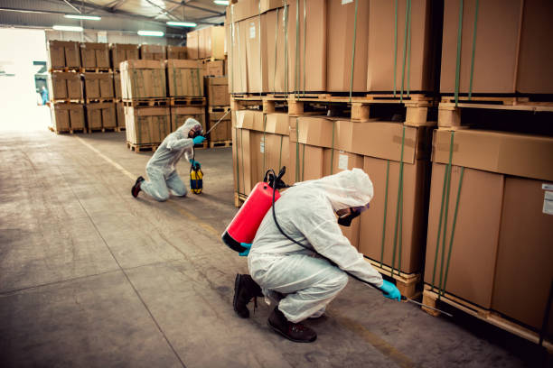 Best Cockroach Control Services  in Rio Grande, NJ