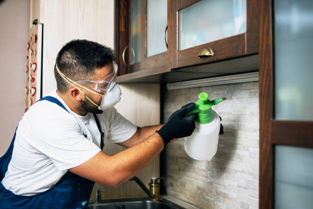 Best Commercial Pest Control Services  in Rio Grande, NJ