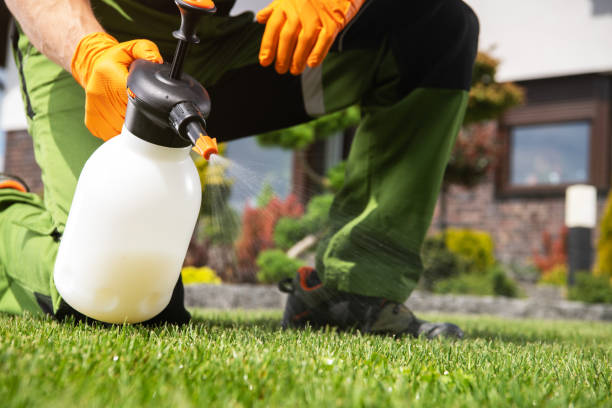 Best Pest Prevention Services  in Rio Grande, NJ