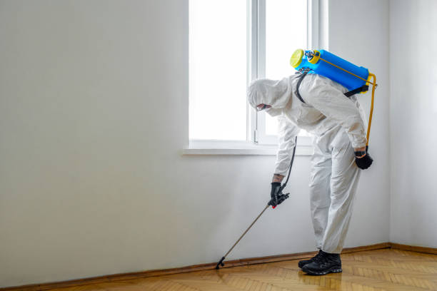 Best Affordable Pest Control Services  in Rio Grande, NJ