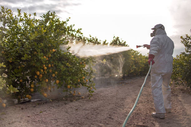 Pest Prevention Services in Rio Grande, NJ