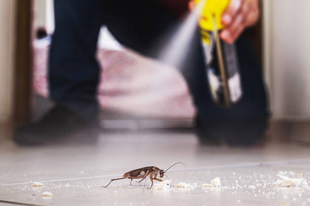 Best Local Pest Control Services  in Rio Grande, NJ