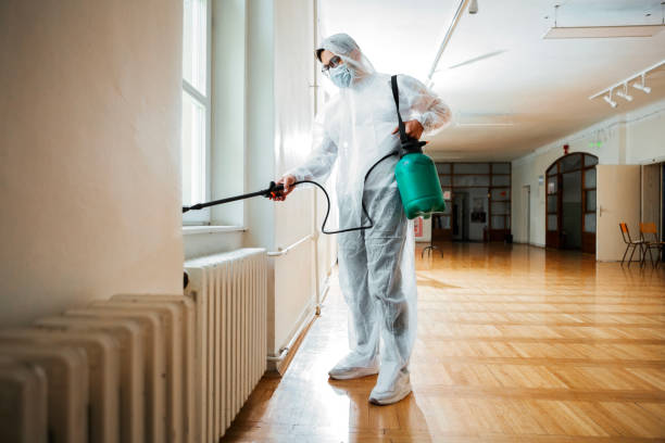 Best Flea Control Services  in Rio Grande, NJ